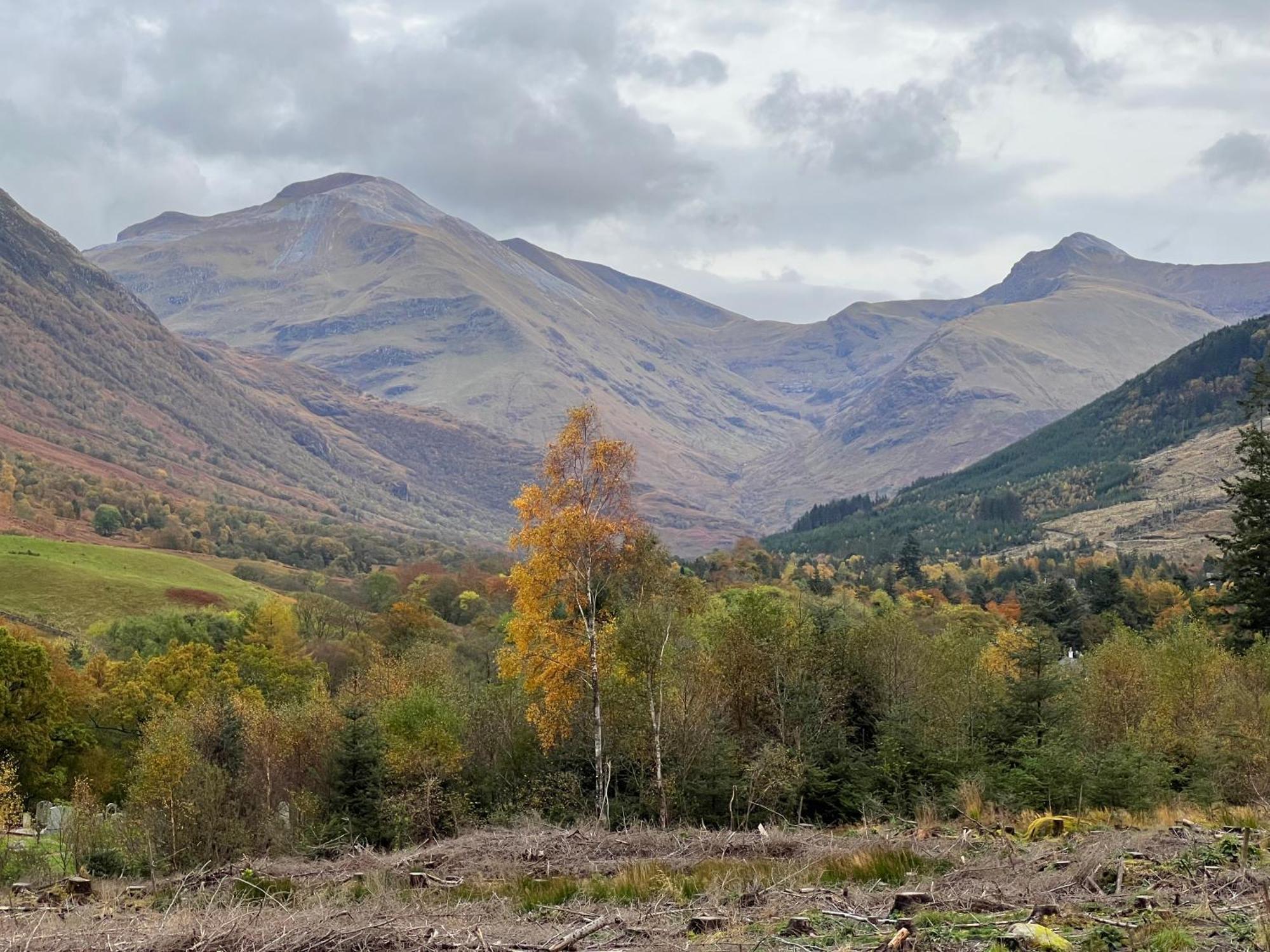 Stronchreggan View Guest House Fort William Eksteriør bilde